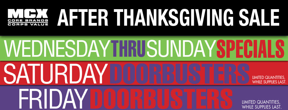 After Thanksgiving Sale Web Banner